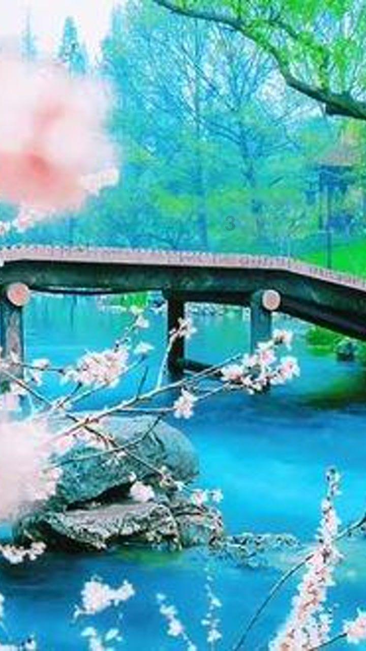 时尚红人莎莉